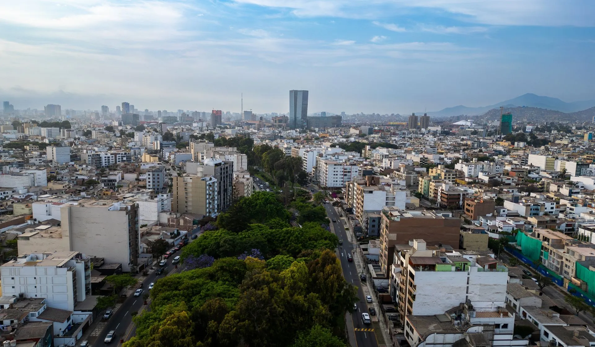 Vista panorámica de San Borja